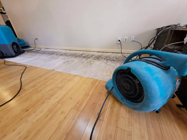 Professional Structural Drying technician working in Balsam Lake, WI
